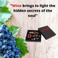 Wine Accessories Set Of 4 Pcs Bottle Opener, Stainless Steel Corkscrew, Stopper, Pourer, Wine bottle ring - HomeWondersUSA